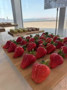 cb29158093b242683ccfffc9edd0598a